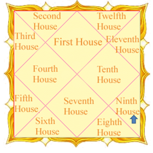 Ninth House