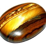 Tigers eye